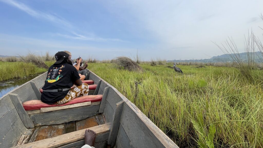 Marshland Field Survey
